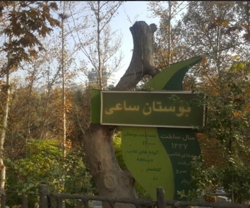 عکس ورودی پارک ساعی از خیابان  وزرا