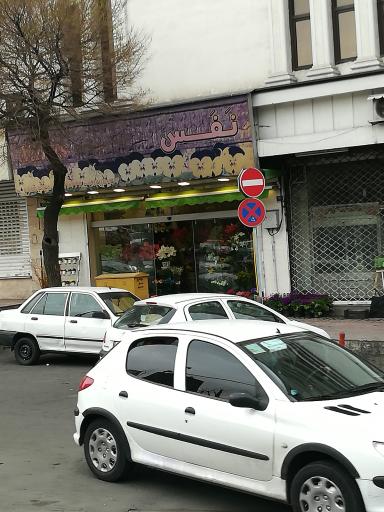 عکس گل فروشی نفس