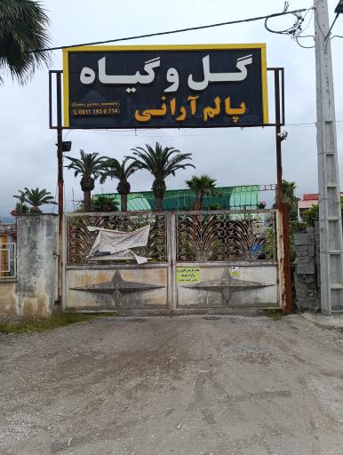 عکس گل و گیاه پالم