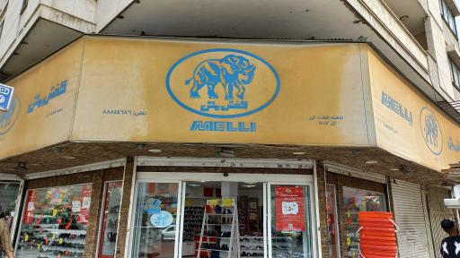 عکس کفش ملی