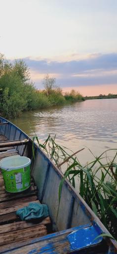 عکس سوسنگرد