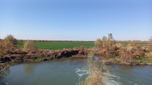 عکس سوسنگرد