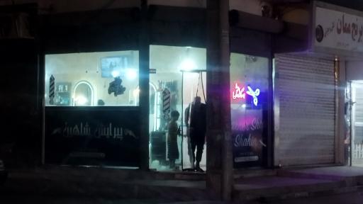 عکس پیرایش شاهین