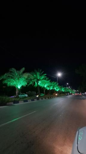 عکس سوسنگرد