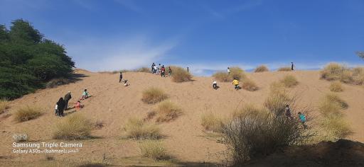 عکس سوسنگرد