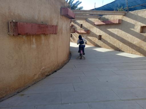 عکس بوستان قوری