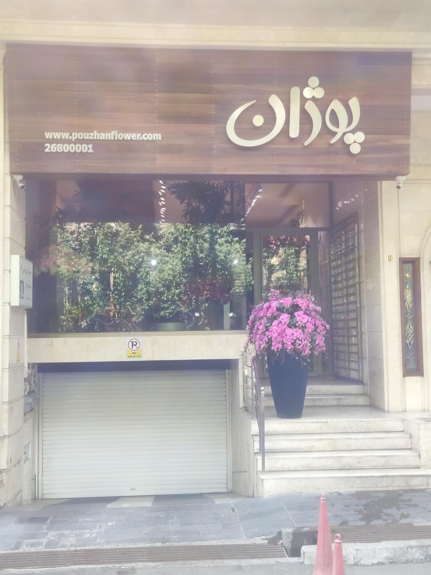 عکس گل پوژان