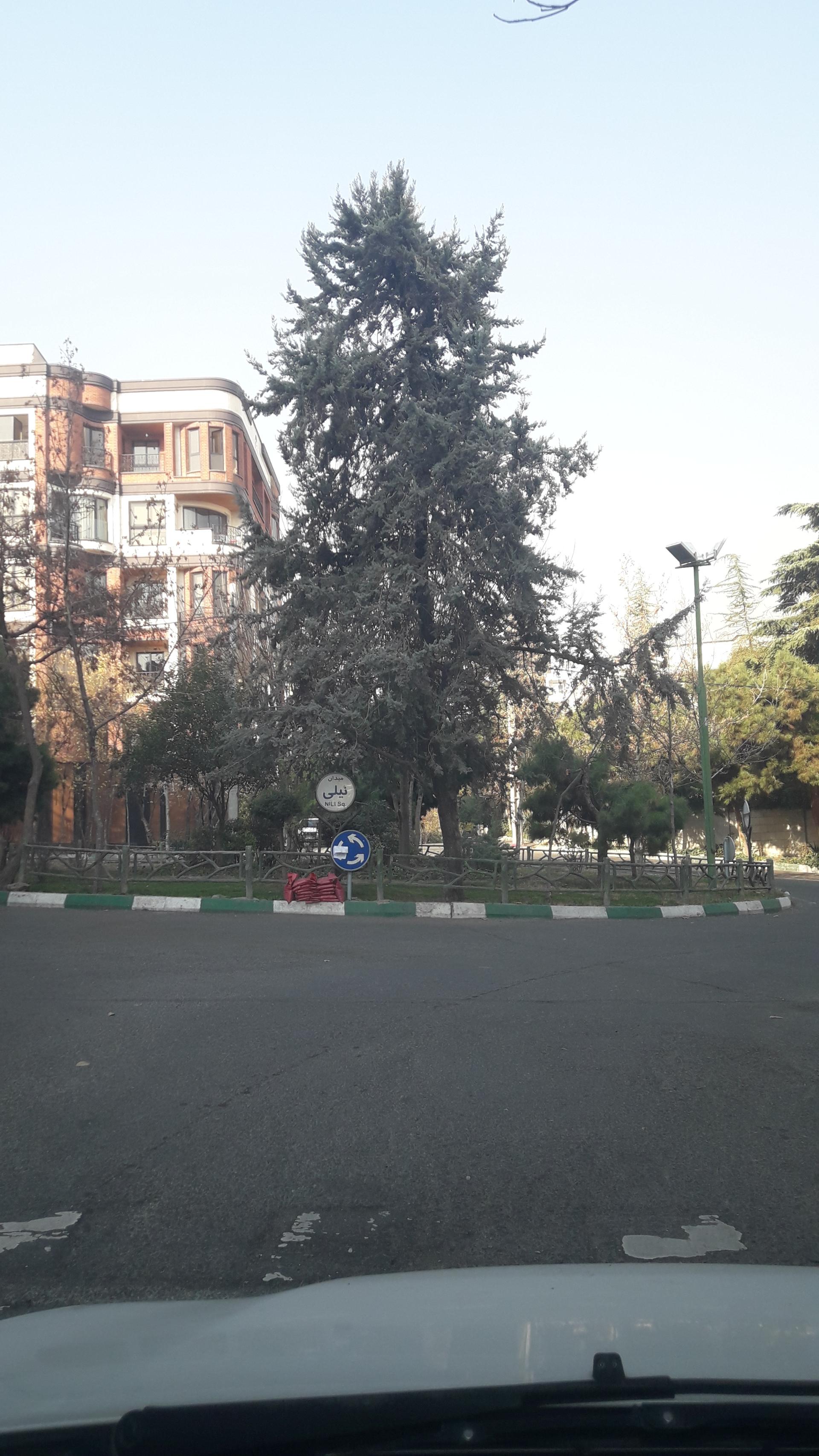 عکس میدان نیلی