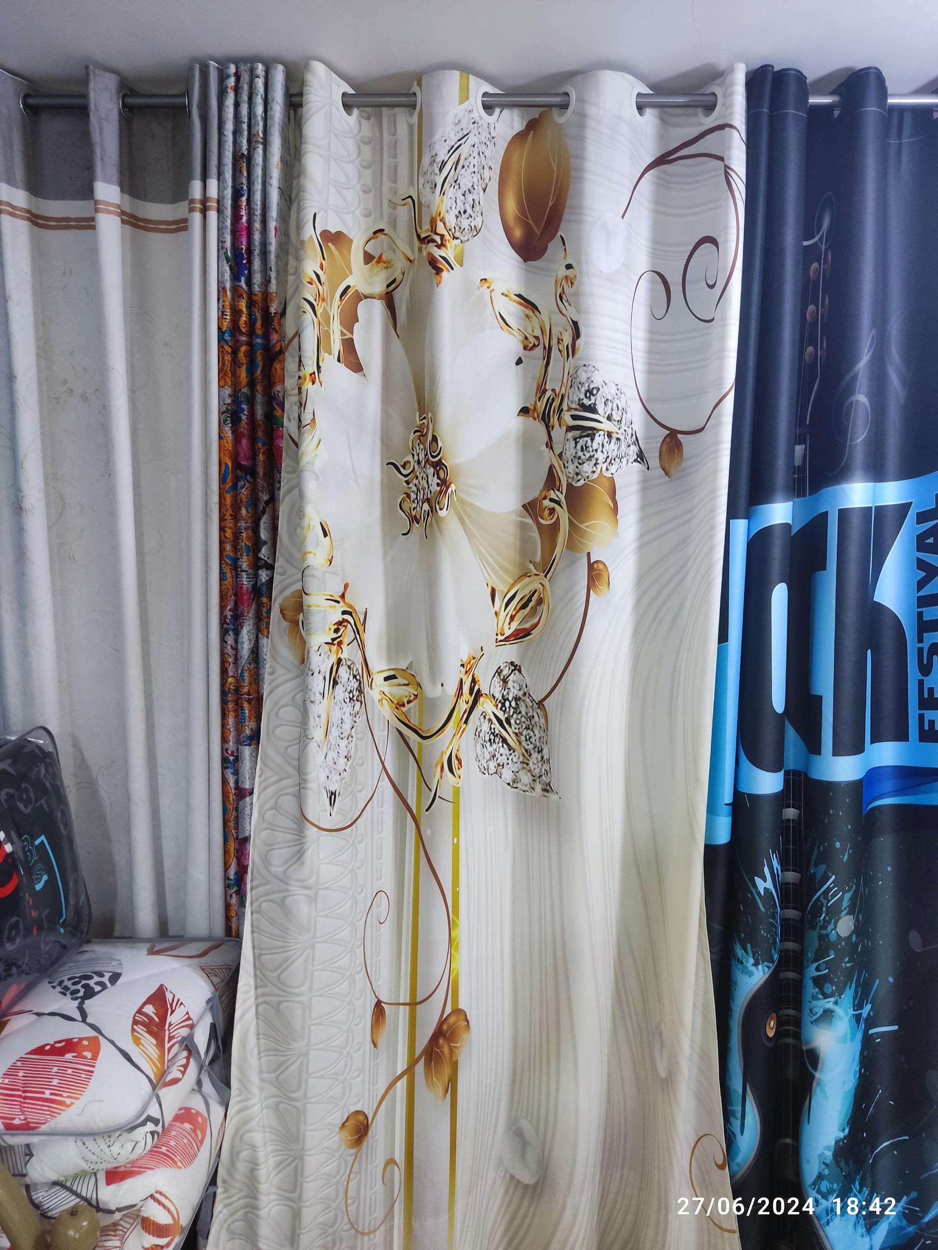 عکس استاد پرده