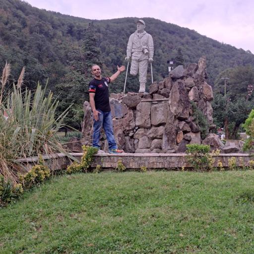 عکس جنگل زیارت