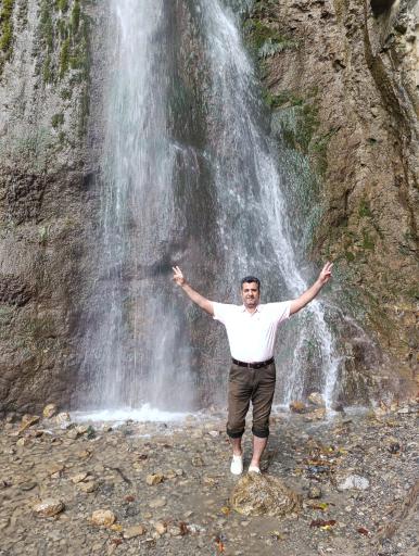 عکس جنگل زیارت