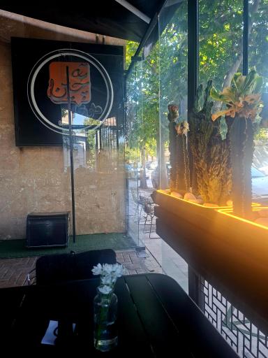 عکس ته چین طوری شعبه سجاد