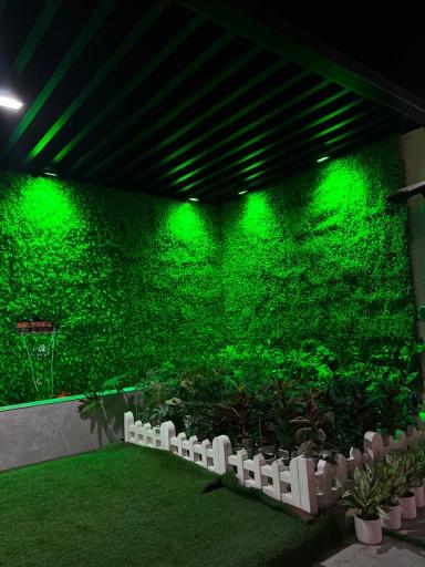 عکس کافه رستوران cip