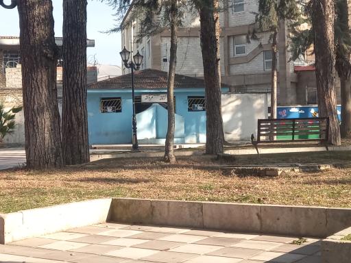 سرویس بهداشتی