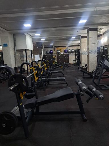 عکس باشگاه نوید سلامتی