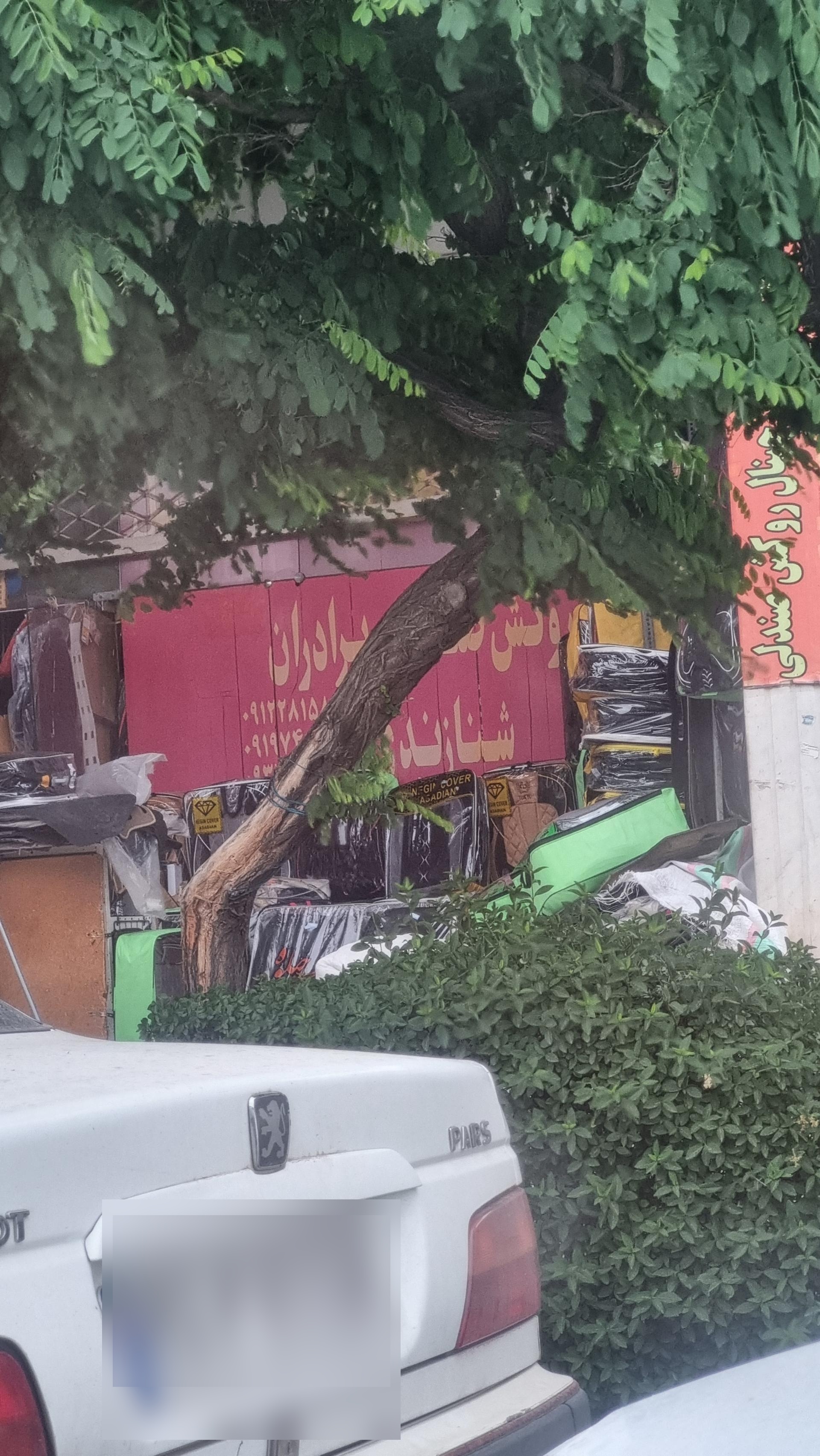 عکس روکش و صندلی برادران شنازندی