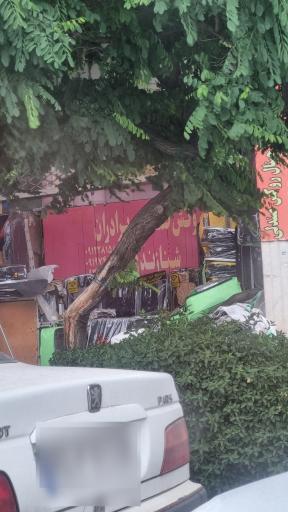 عکس روکش و صندلی برادران شنازندی