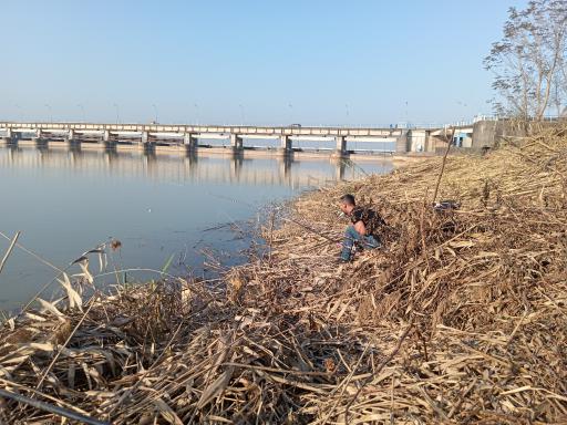 عکس سد سنگر