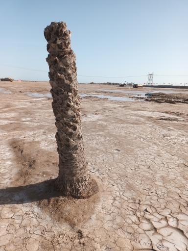 عکس مسجد یادمان شهدا شلمچه