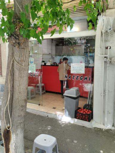 عکس فست فود ناطقی