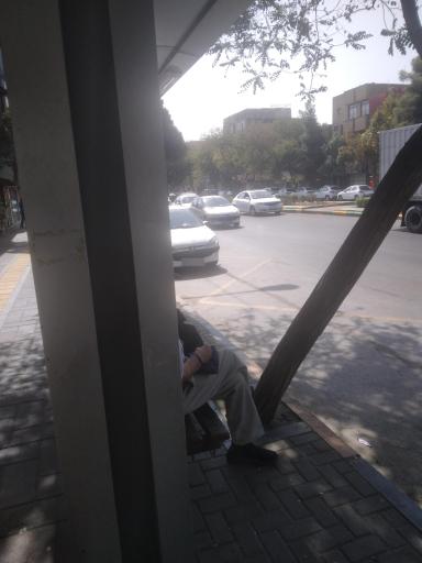 عکس  شهید دستغیب 10