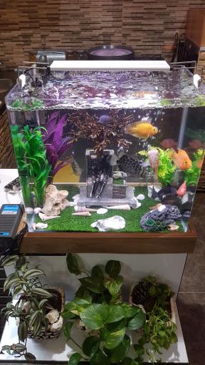 عکس ساندویچی سعید 