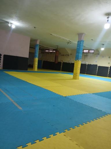 عکس باشگاه