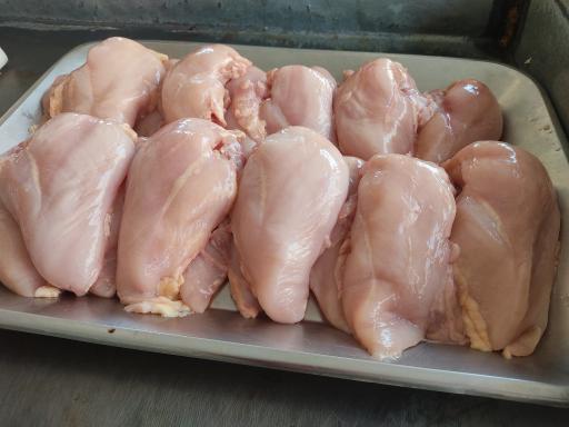 عکس مرغ و ماهی موسوی