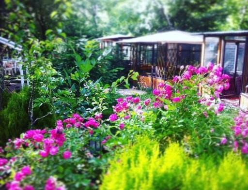 عکس مجموعه پذیرایی و کافه باغ شاتوت