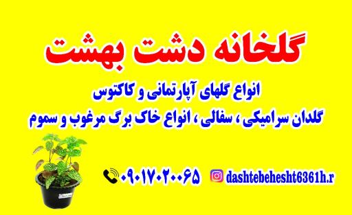 عکس گلخانه دشت بهشت
