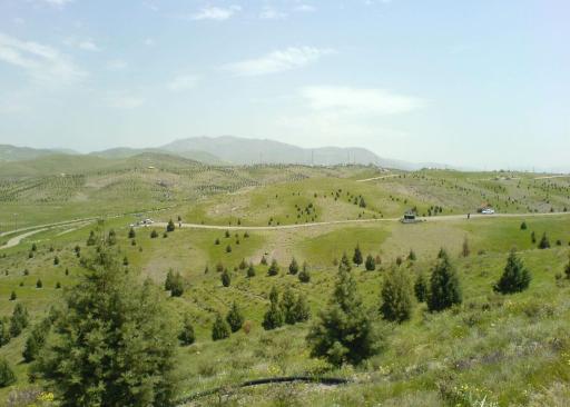 عکس بوستان جنگلی باراجین