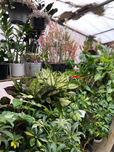 عکس گلخانه گرینچه فنی حرفه ای 2800 ساعته