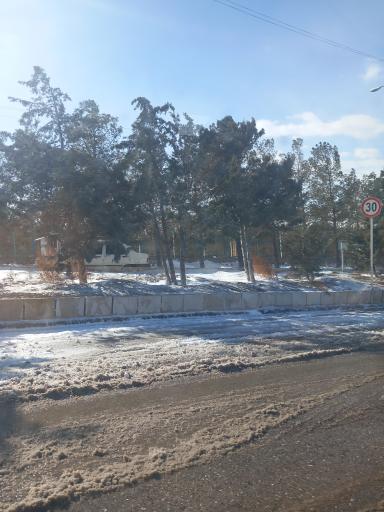 عکس بوستان جنگلی باراجین