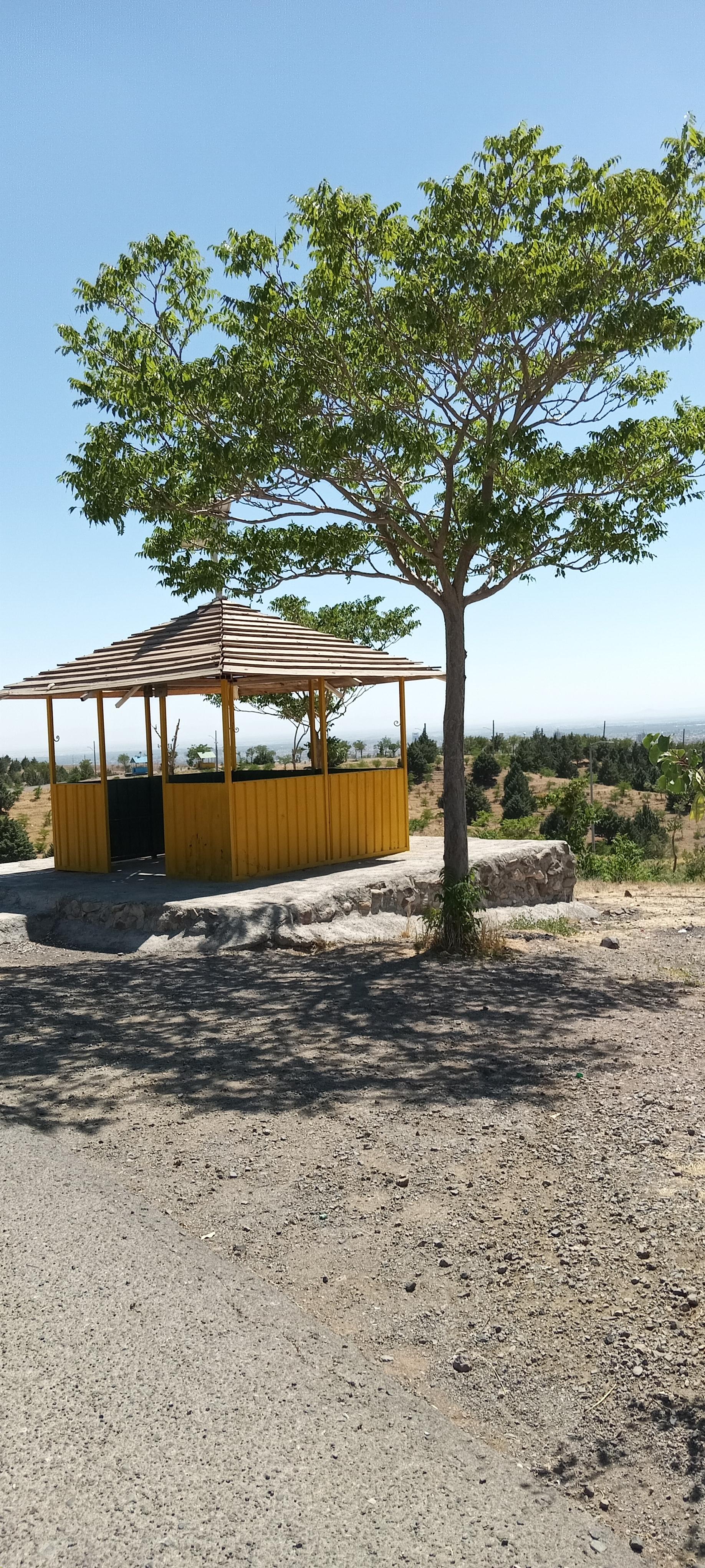 عکس بوستان جنگلی باراجین