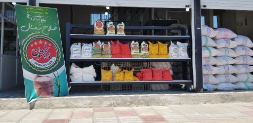 عکس سورتینگ برنجستون فلاح شمال