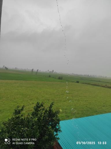 عکس ورکاده