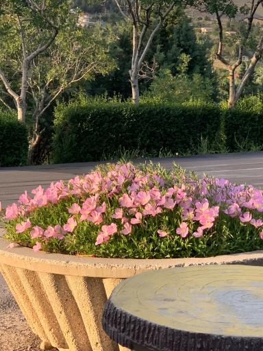 عکس بوستان جنگلی باراجین