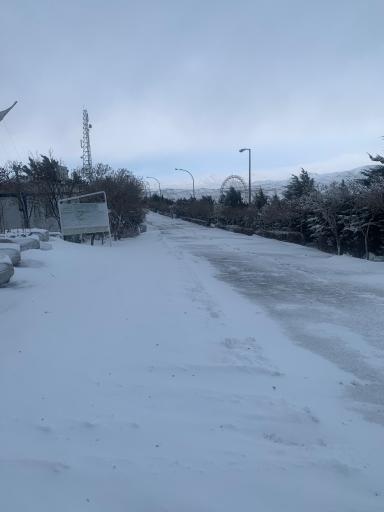 عکس بوستان جنگلی باراجین