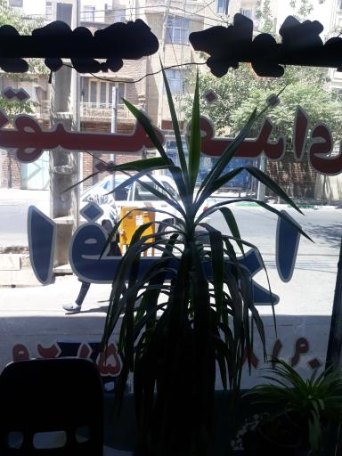 عکس کترینگ افرا