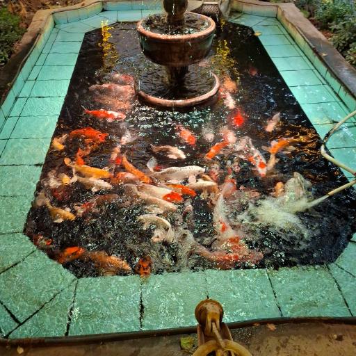 عکس خانه تاریخی طباطبائی