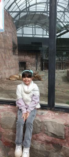 عکس بوستان جنگلی باراجین