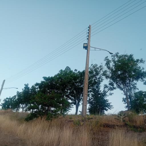 عکس بوستان جنگلی باراجین