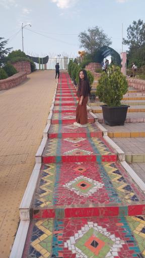عکس بوستان جنگلی باراجین