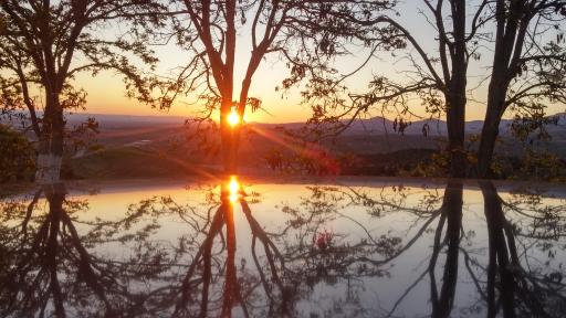 عکس بوستان جنگلی باراجین