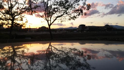 عکس بوستان جنگلی باراجین