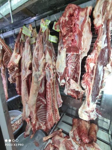 عکس هایپر پروتئین گوشت پاک