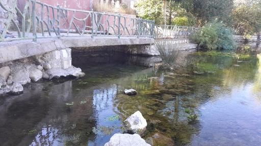 عکس چشمه 