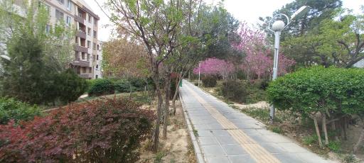 عکس پارک پاسارگاد