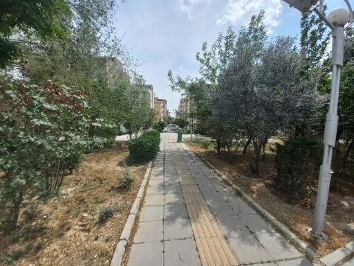 عکس پارک پاسارگاد