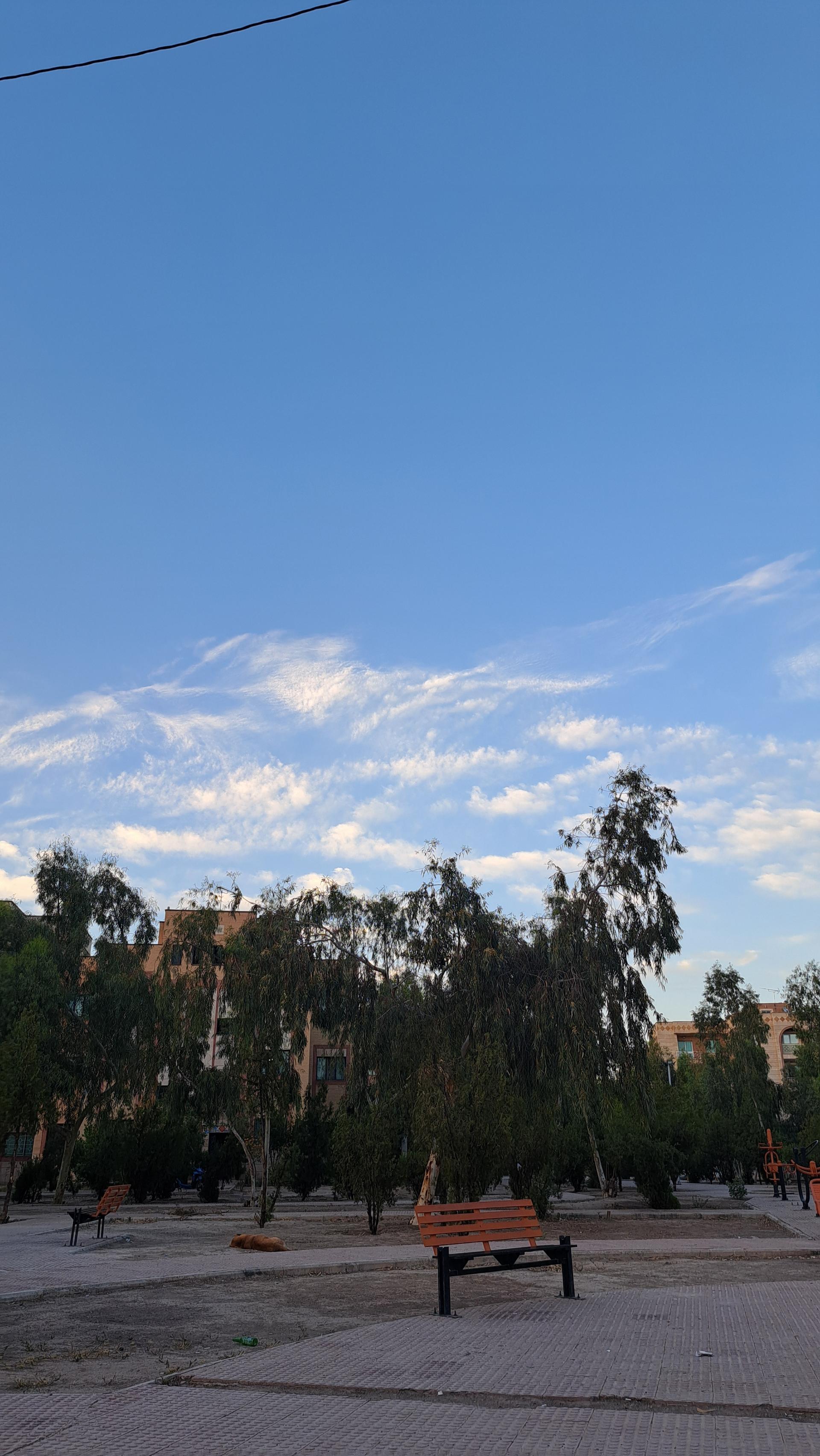 عکس فضای سبز